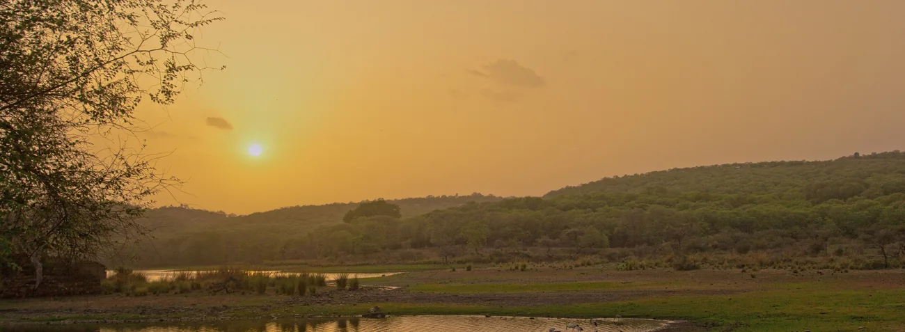 Sundown over a lake in Ranthambore National Park